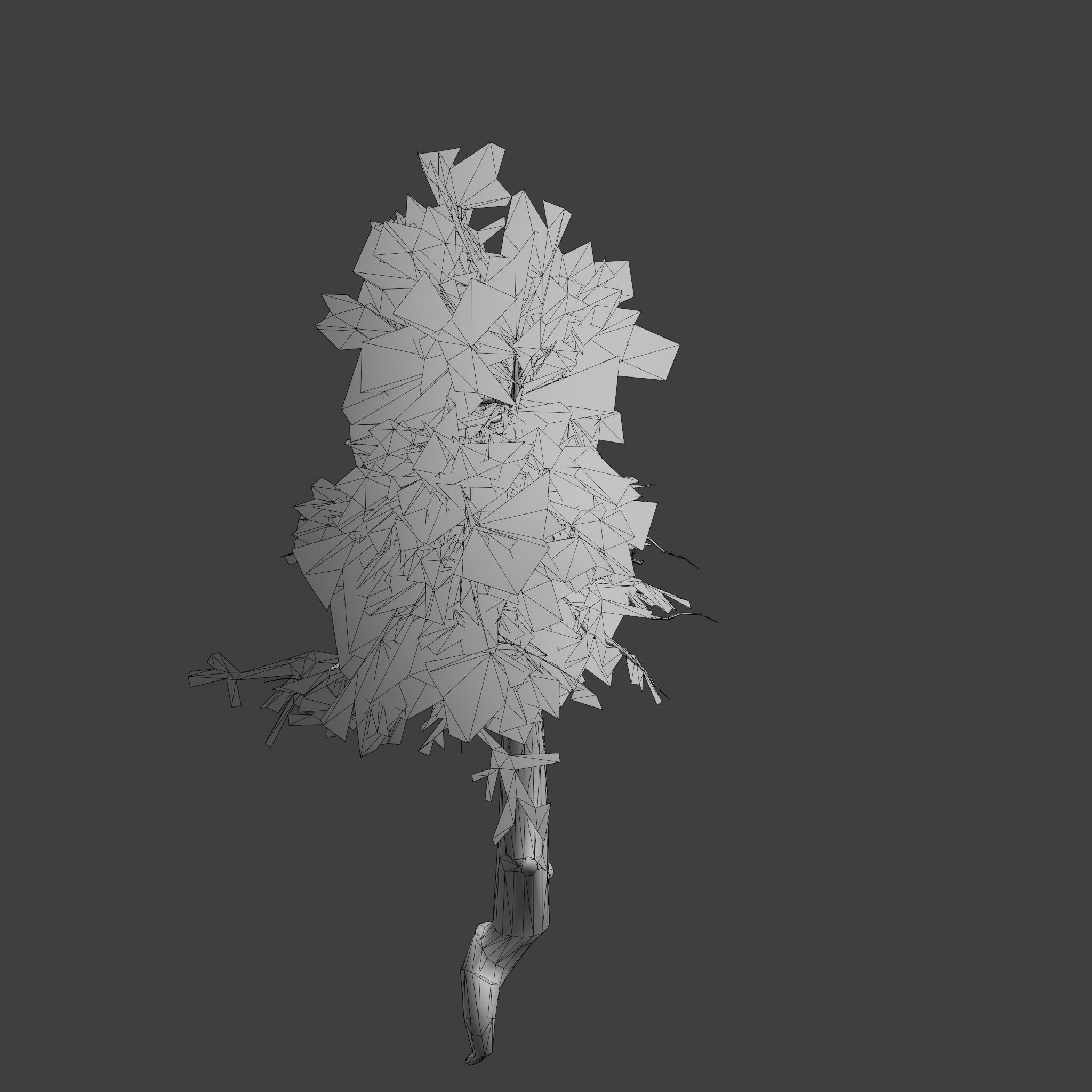 Pinyon Pine 11 Low-poly 3D model_11