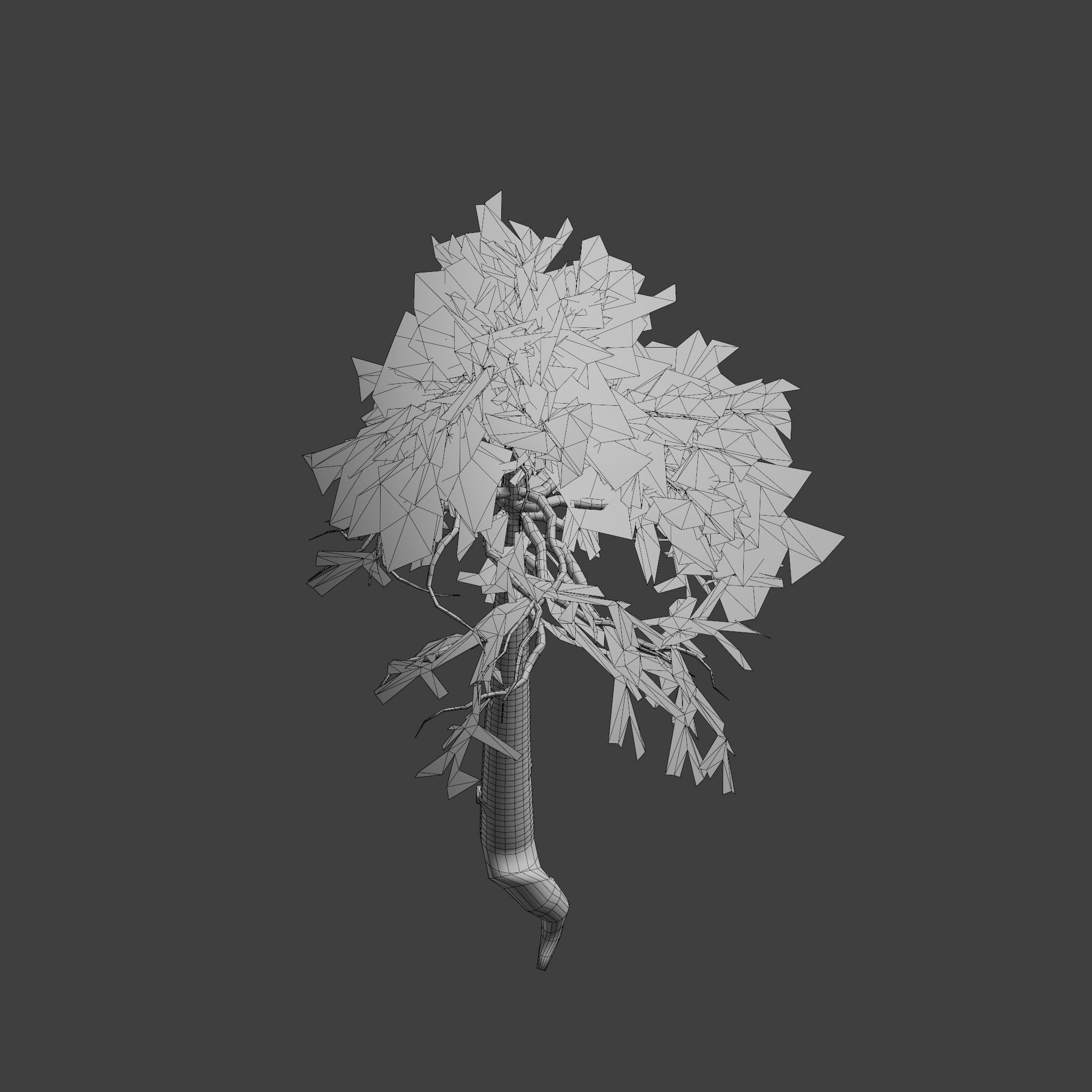 Pinyon Pine 11 Low-poly 3D model_8