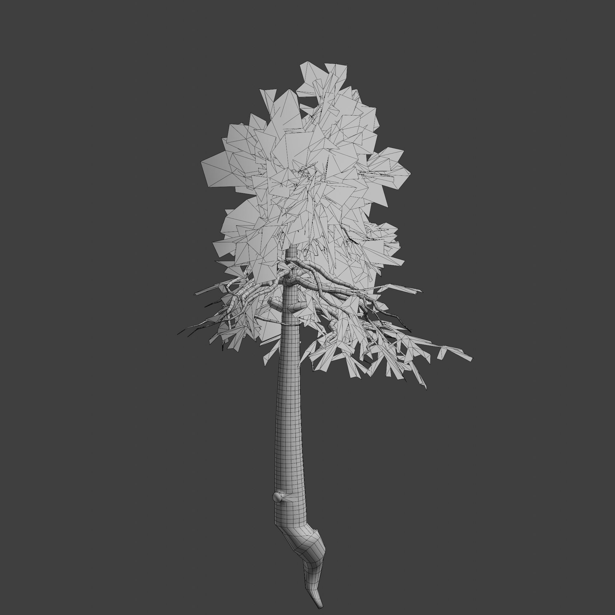 Pinyon Pine 11 Low-poly 3D model_9