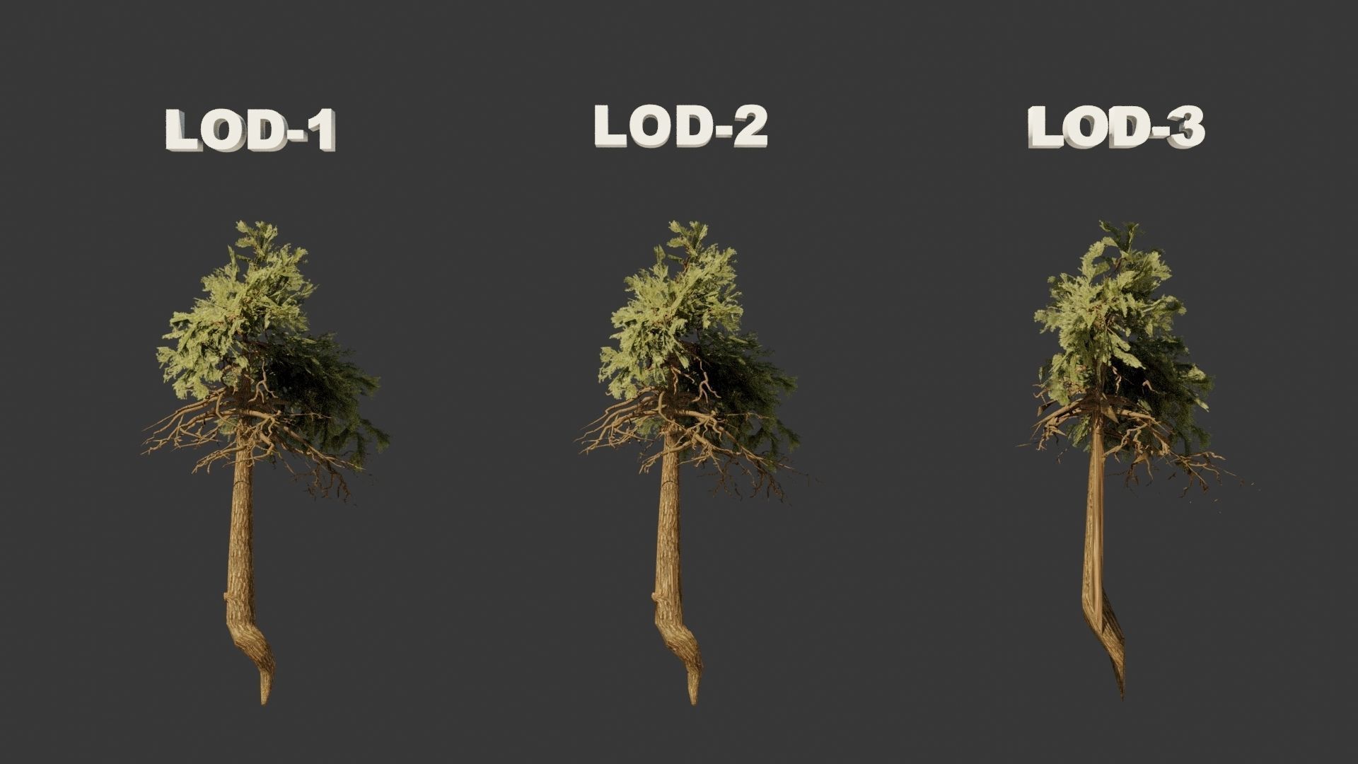 Pinyon Pine 11 Low-poly 3D model_7