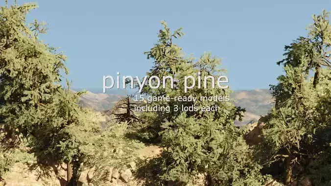 Game-Ready 15 Model Pinyon Pine Tree Collection 