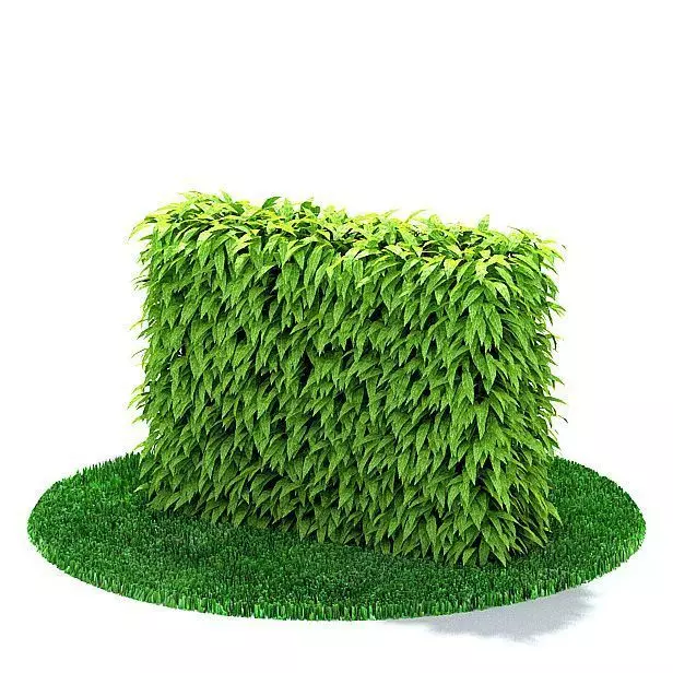 Green Hedge 3D model_0