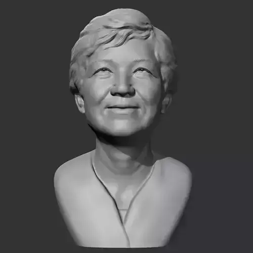 Park Geun-hye 3D print model