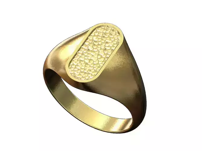 Slot shaped signet with hammered textured top US sizes 6to9