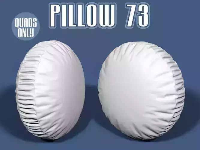 Pillow 73