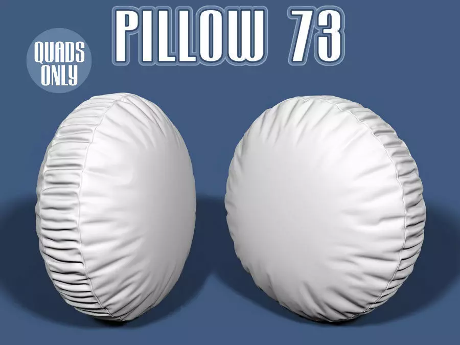 Pillow 73 3D model_0