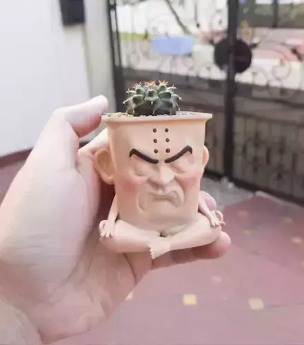 Serious Meditating Pot 