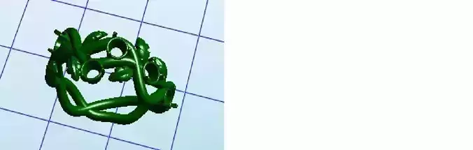 A ring of delicate twigs and leaves