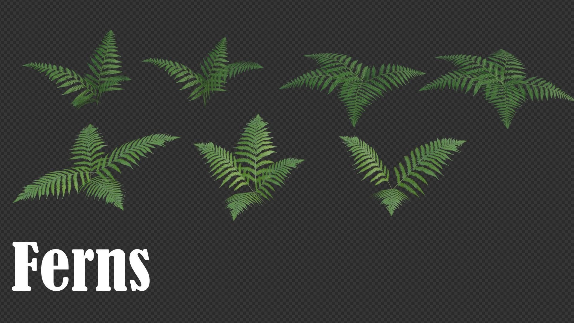 Nature Assets For Blender Low-poly 3D model_3