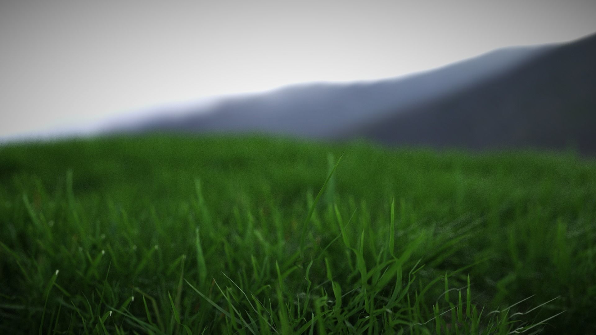Nature Assets For Blender Low-poly 3D model_4