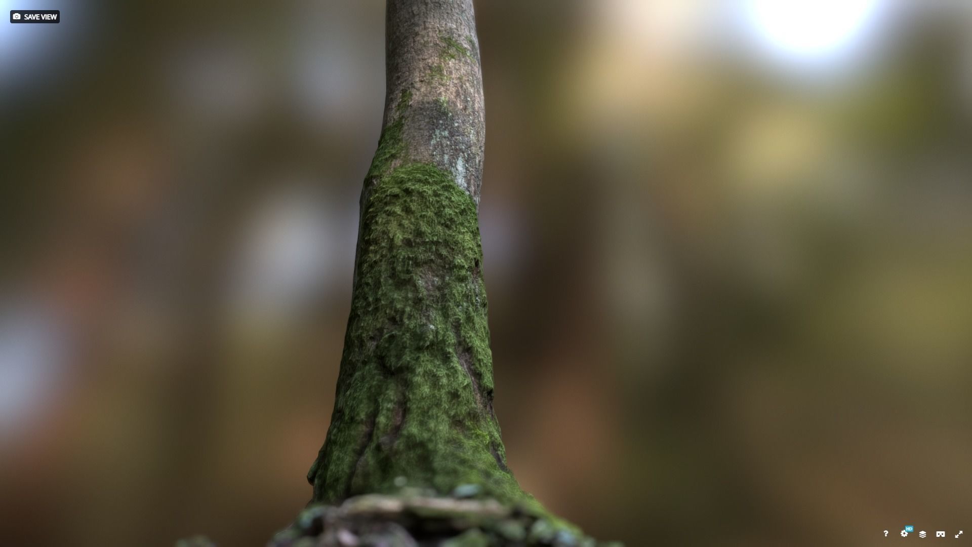 Mossy tree trunk 3D model_2