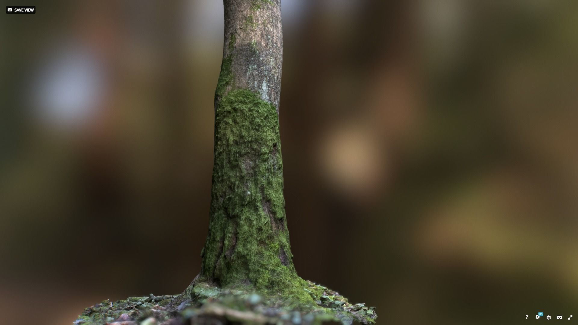 Mossy tree trunk 3D model_1