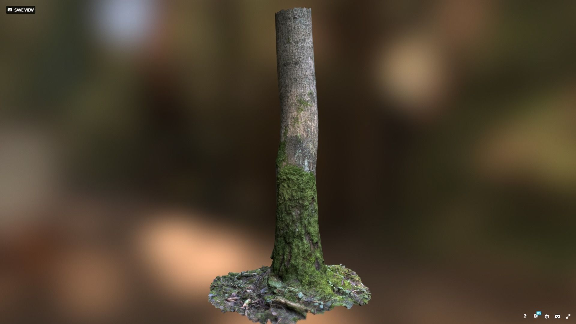 Mossy tree trunk 3D model_7