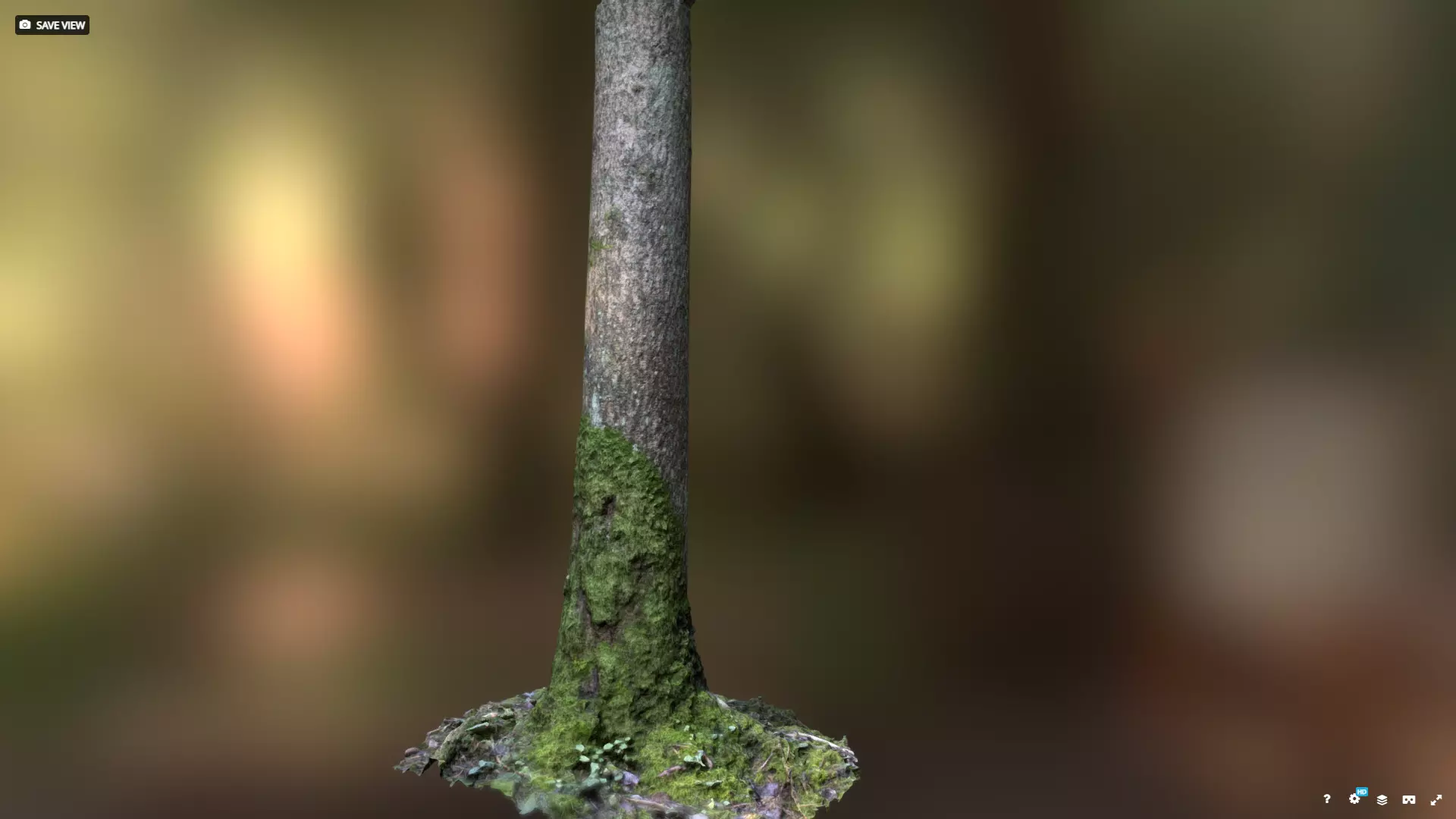 Mossy tree trunk 3D model_0
