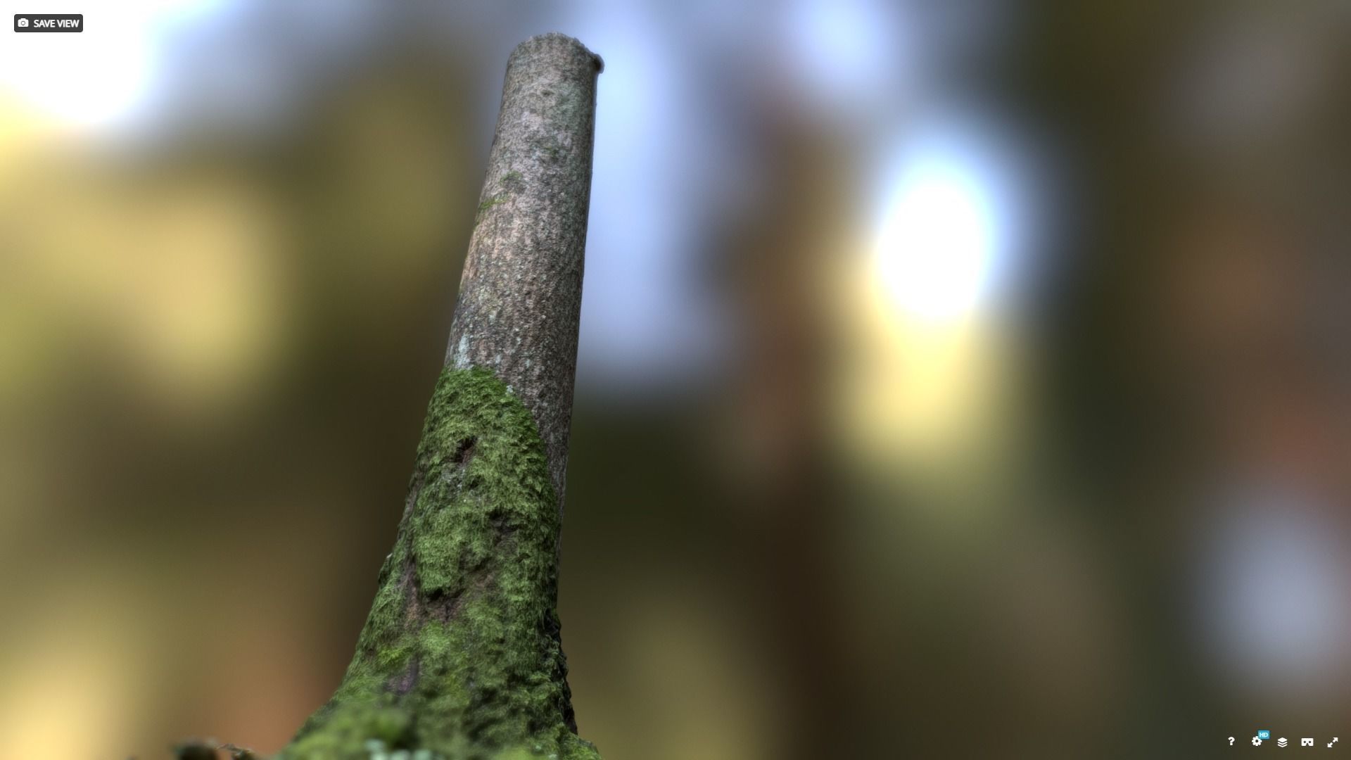 Mossy tree trunk 3D model_3