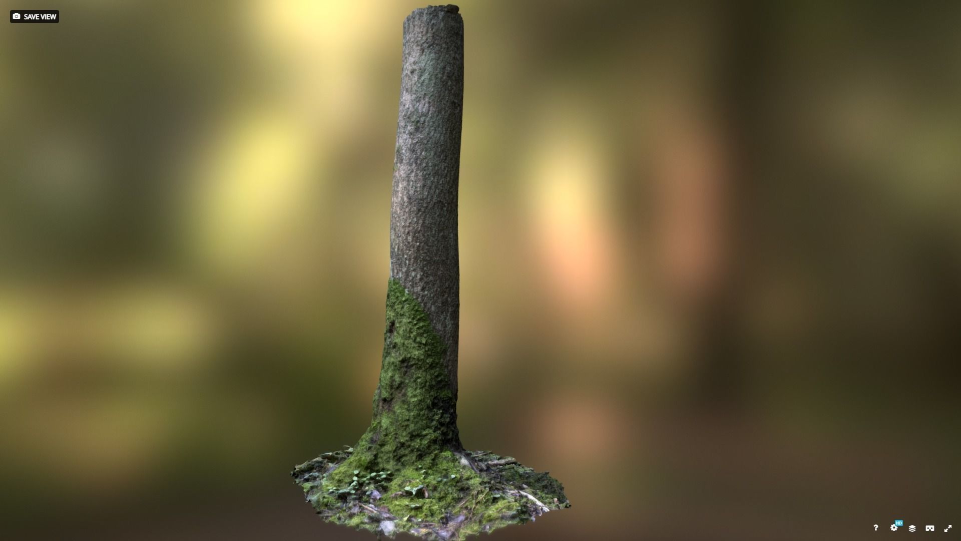Mossy tree trunk 3D model_9