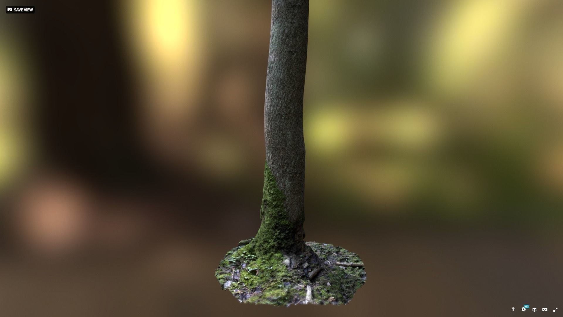 Mossy tree trunk 3D model_8