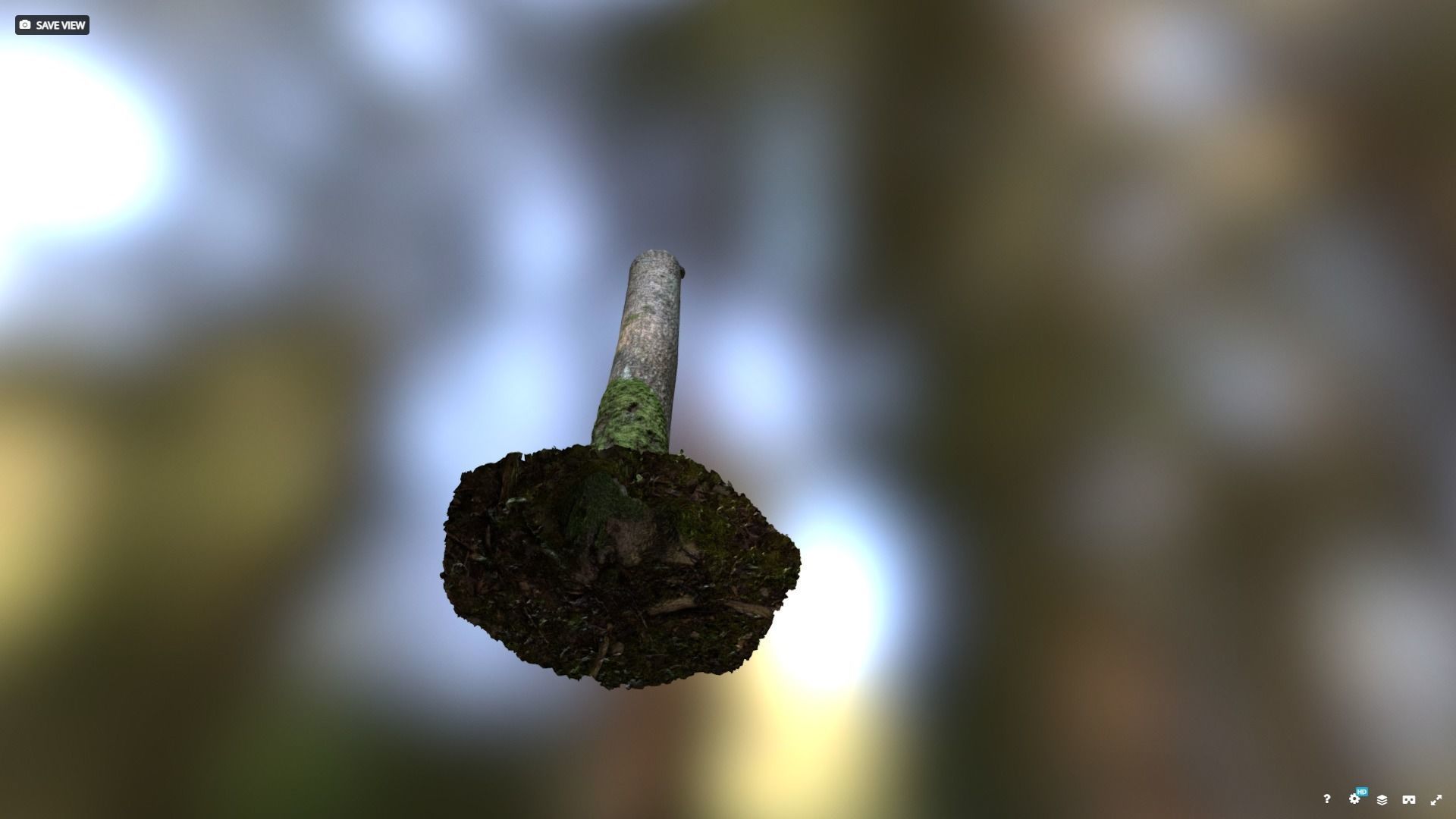 Mossy tree trunk 3D model_6