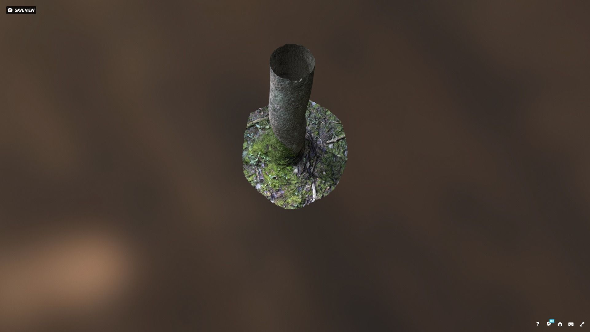 Mossy tree trunk 3D model_5