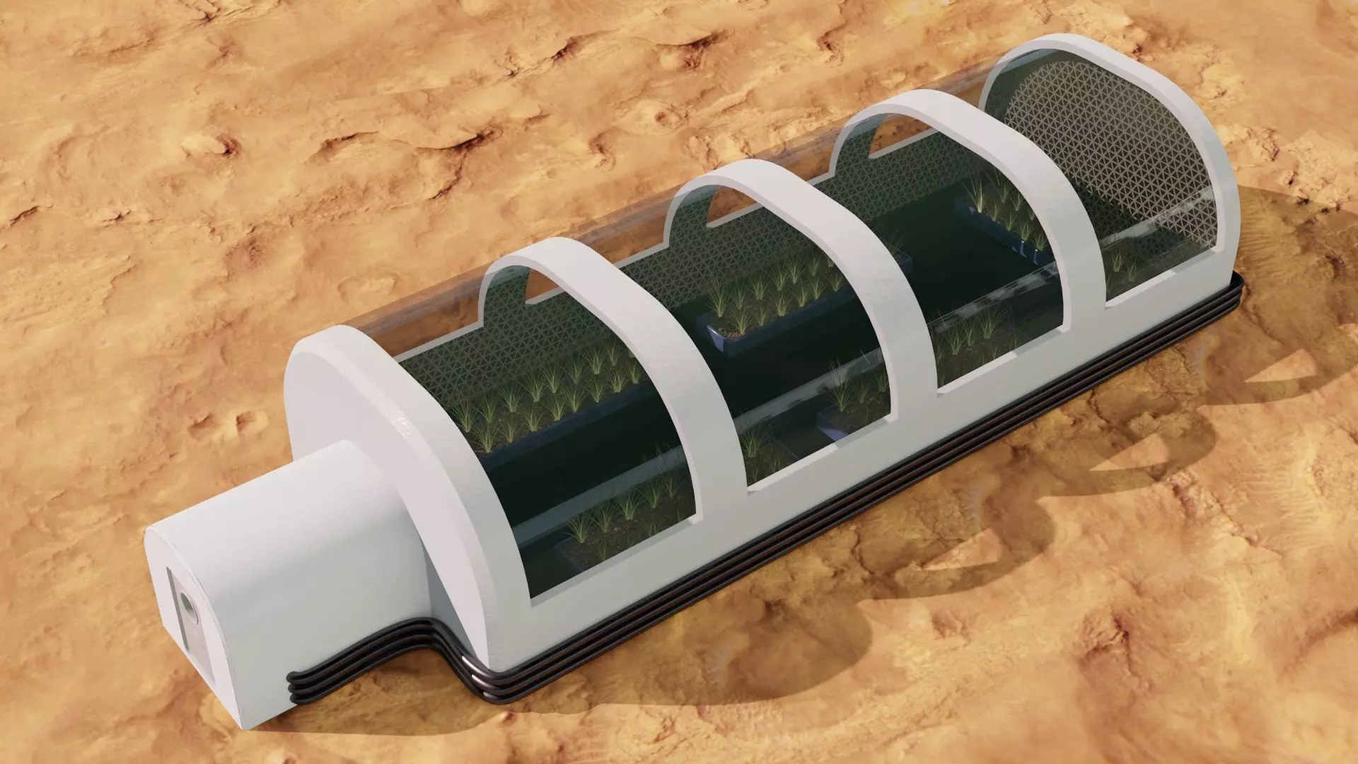 Mars farm Low-poly 3D model_0