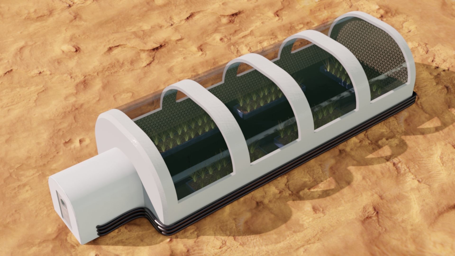 Mars farm Low-poly 3D model_6