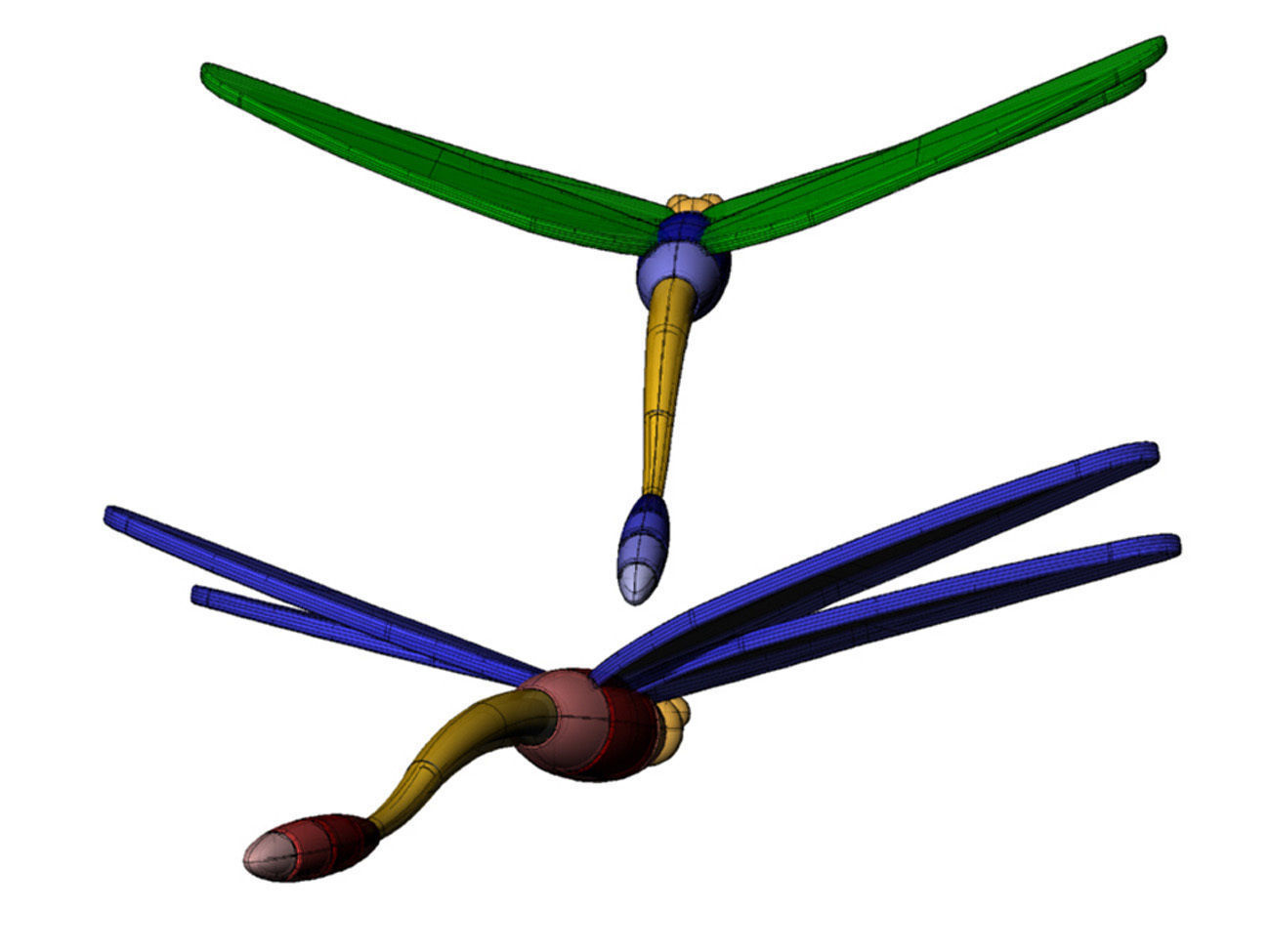  Dragonfly Character Insect 3D Modeling Source 3D model_8