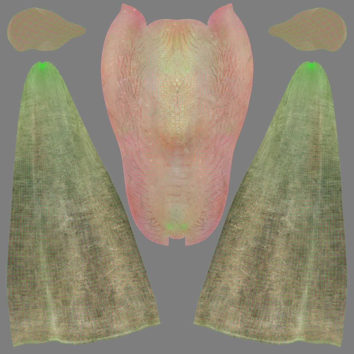 Boer Goat  with 1 Animation VFX Grace 3D model_18