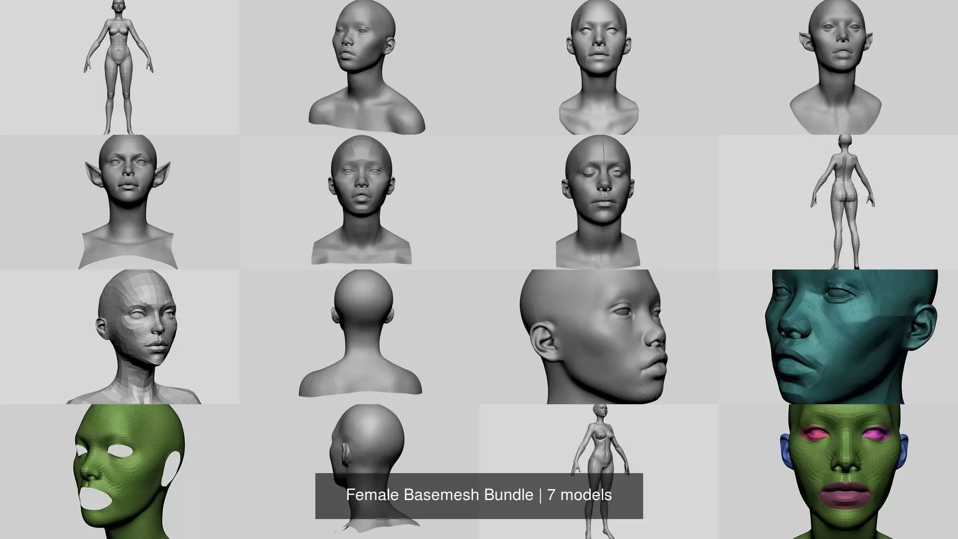 Female Basemesh Bundle 3D Model Collection_0