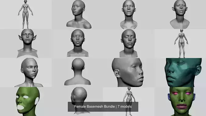 Female Basemesh Bundle 3D Model Collection