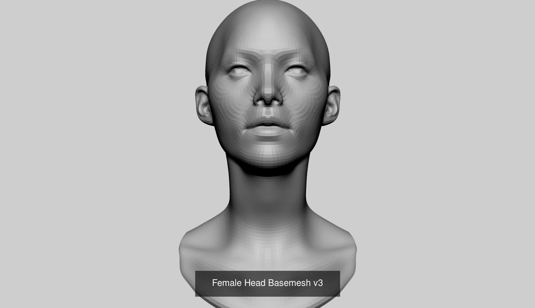 Female Basemesh Bundle 3D Model Collection_3