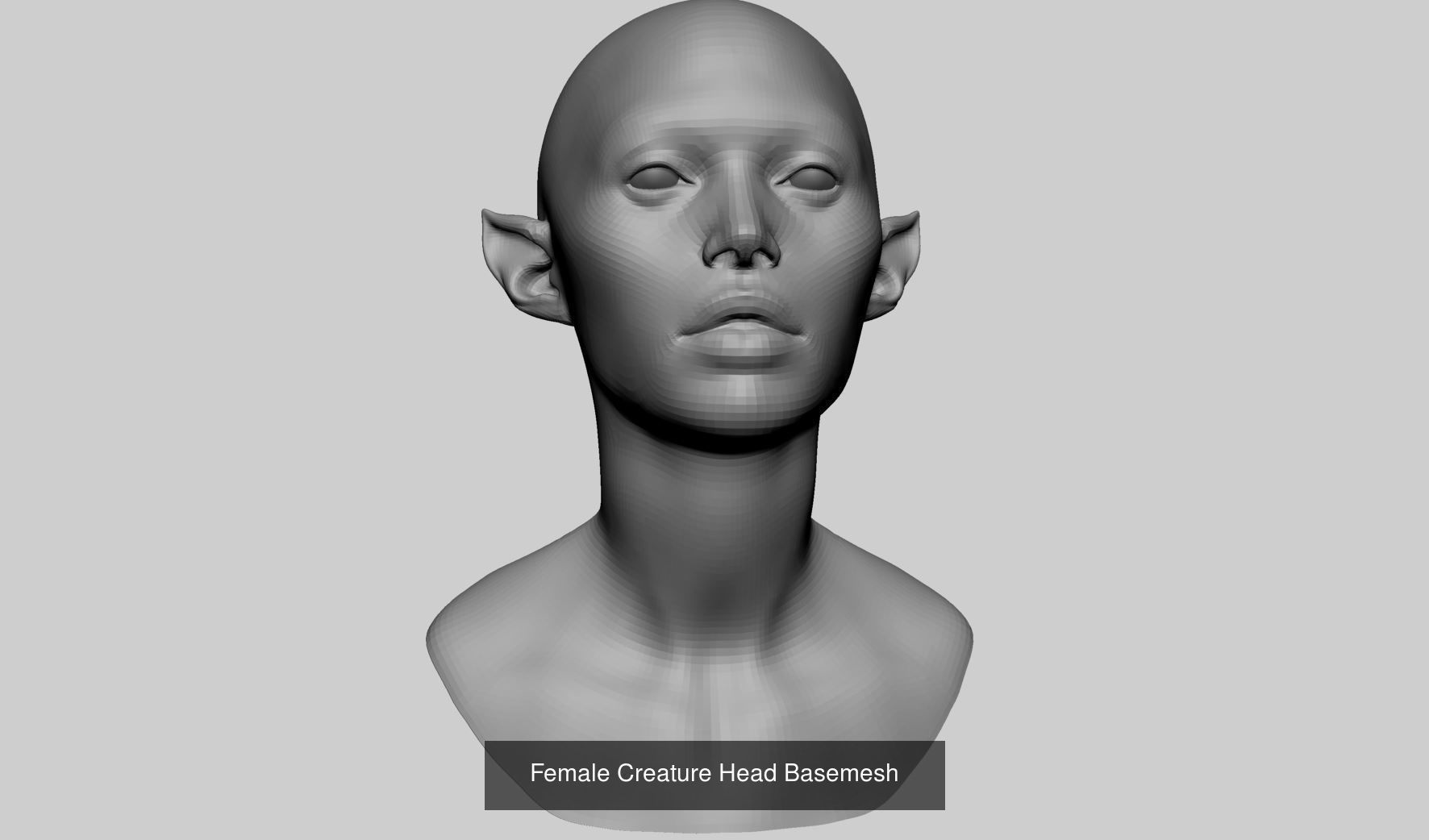 Female Basemesh Bundle 3D Model Collection_4