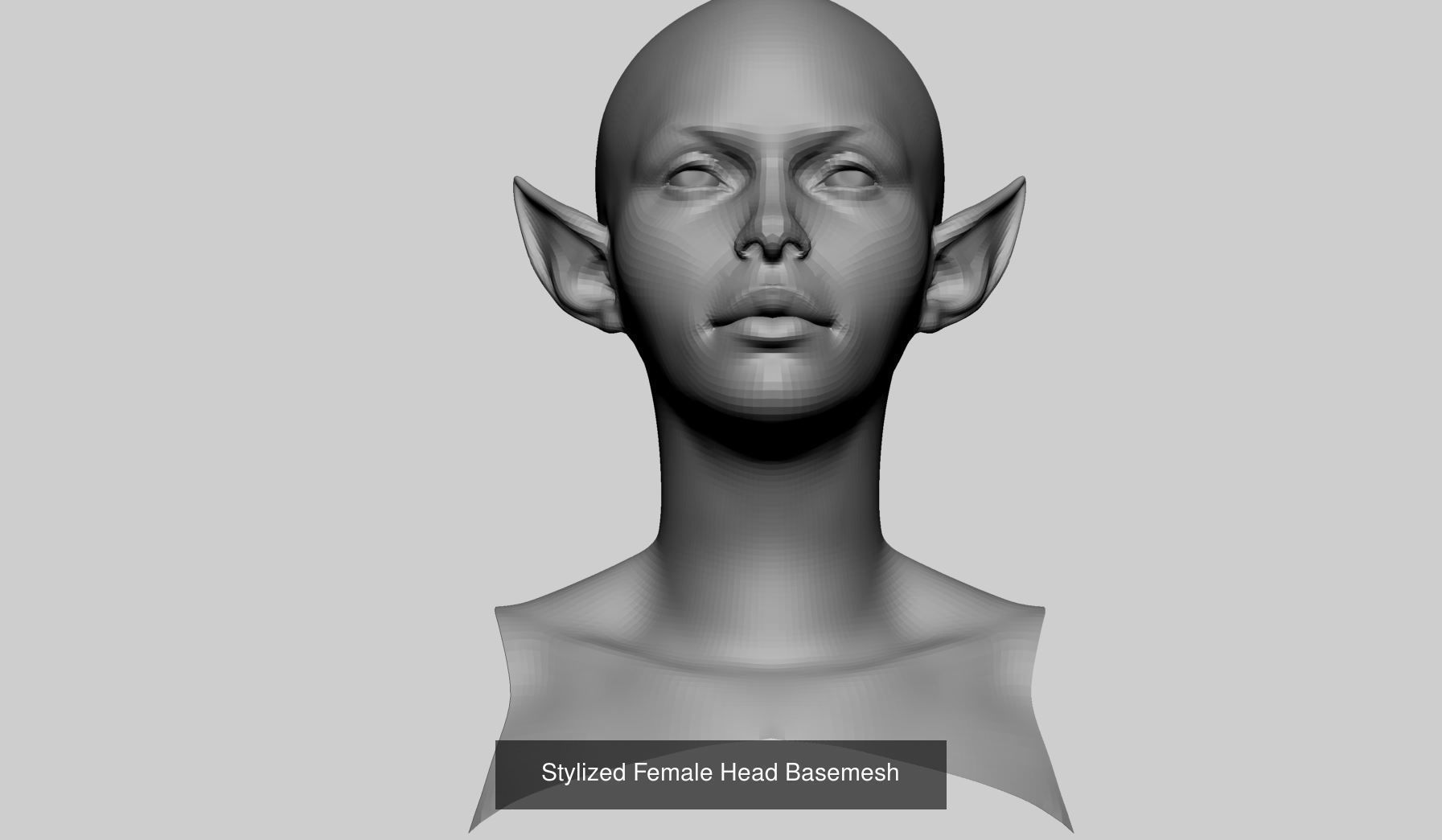 Female Basemesh Bundle 3D Model Collection_5