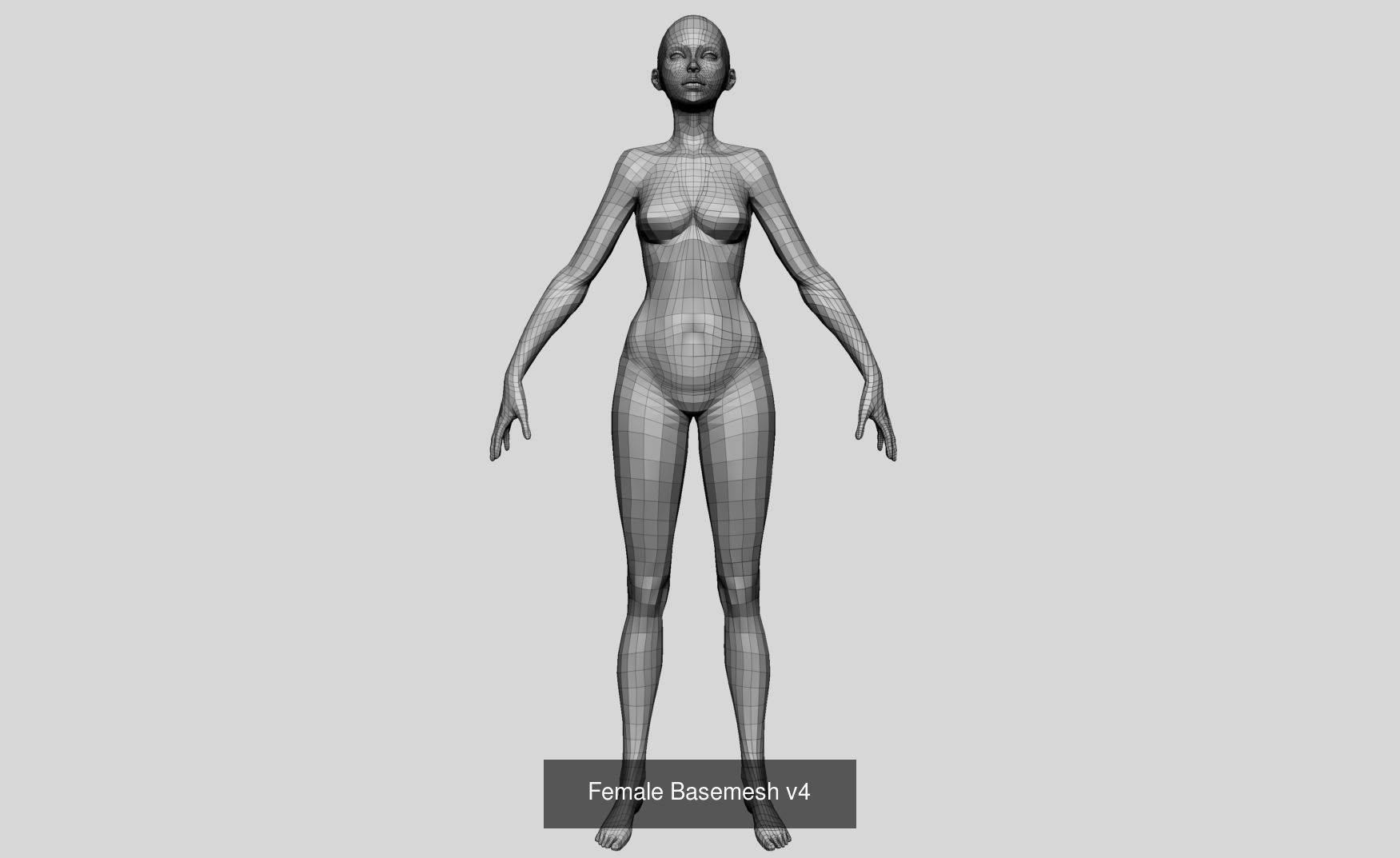 Female Basemesh Bundle 3D Model Collection_1