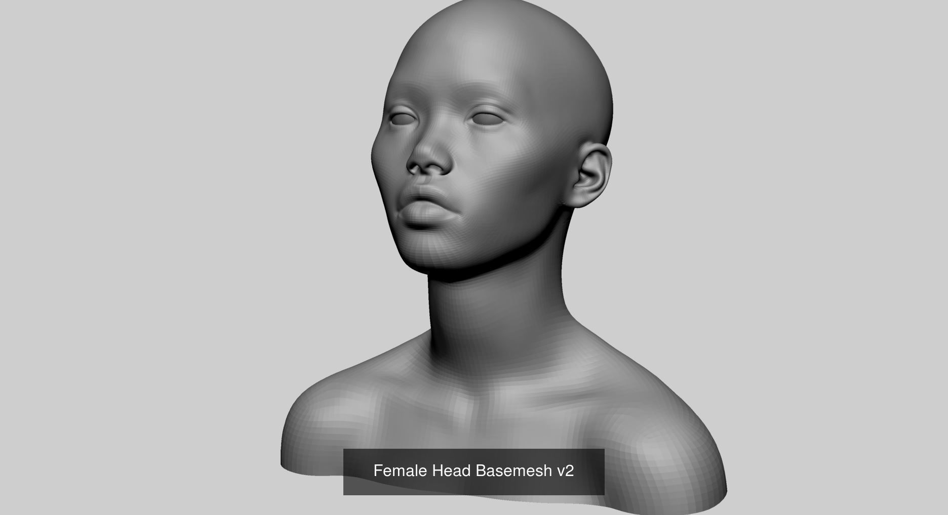 Female Basemesh Bundle 3D Model Collection_2