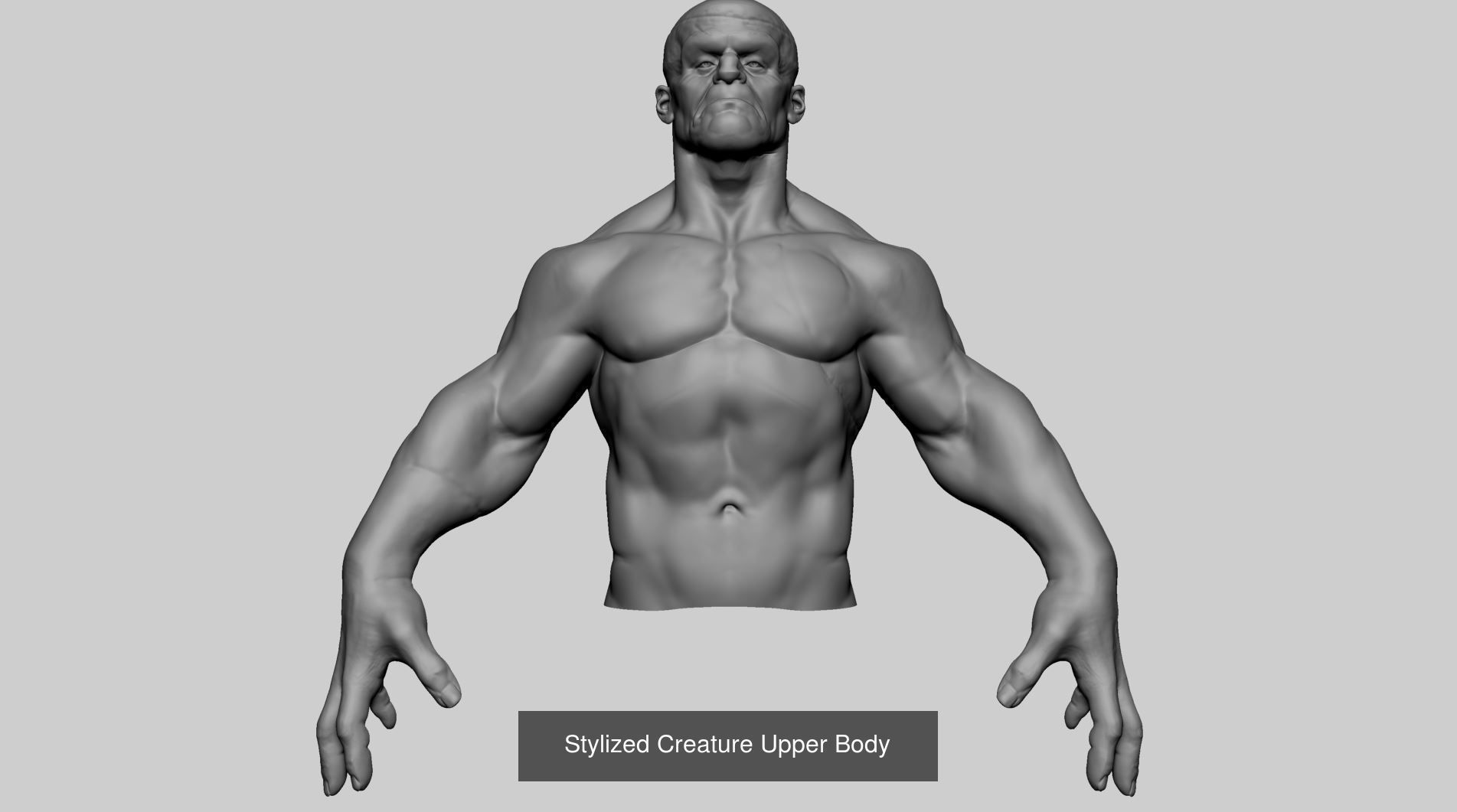 Male Basemesh Bundle 3D Model Collection_4