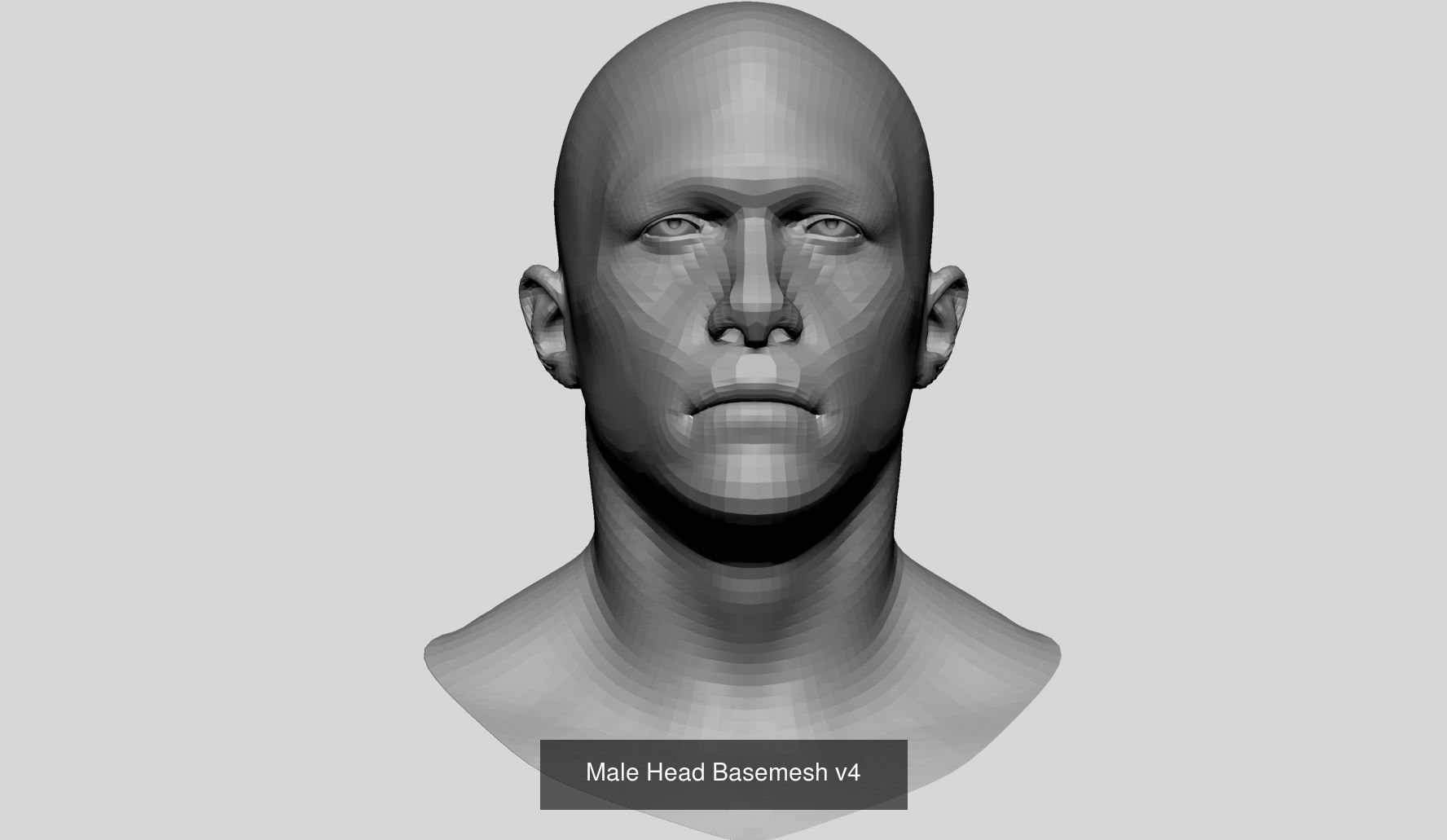 Male Basemesh Bundle 3D Model Collection_2