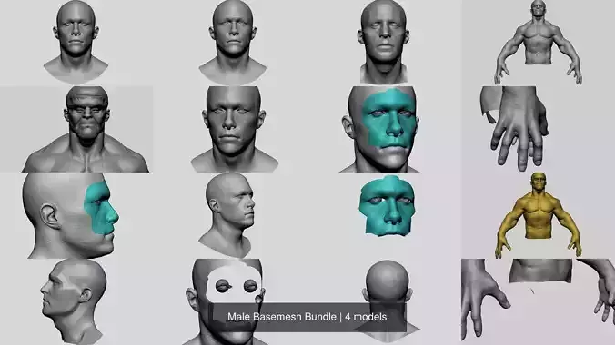 Male Basemesh Bundle 3D Model Collection