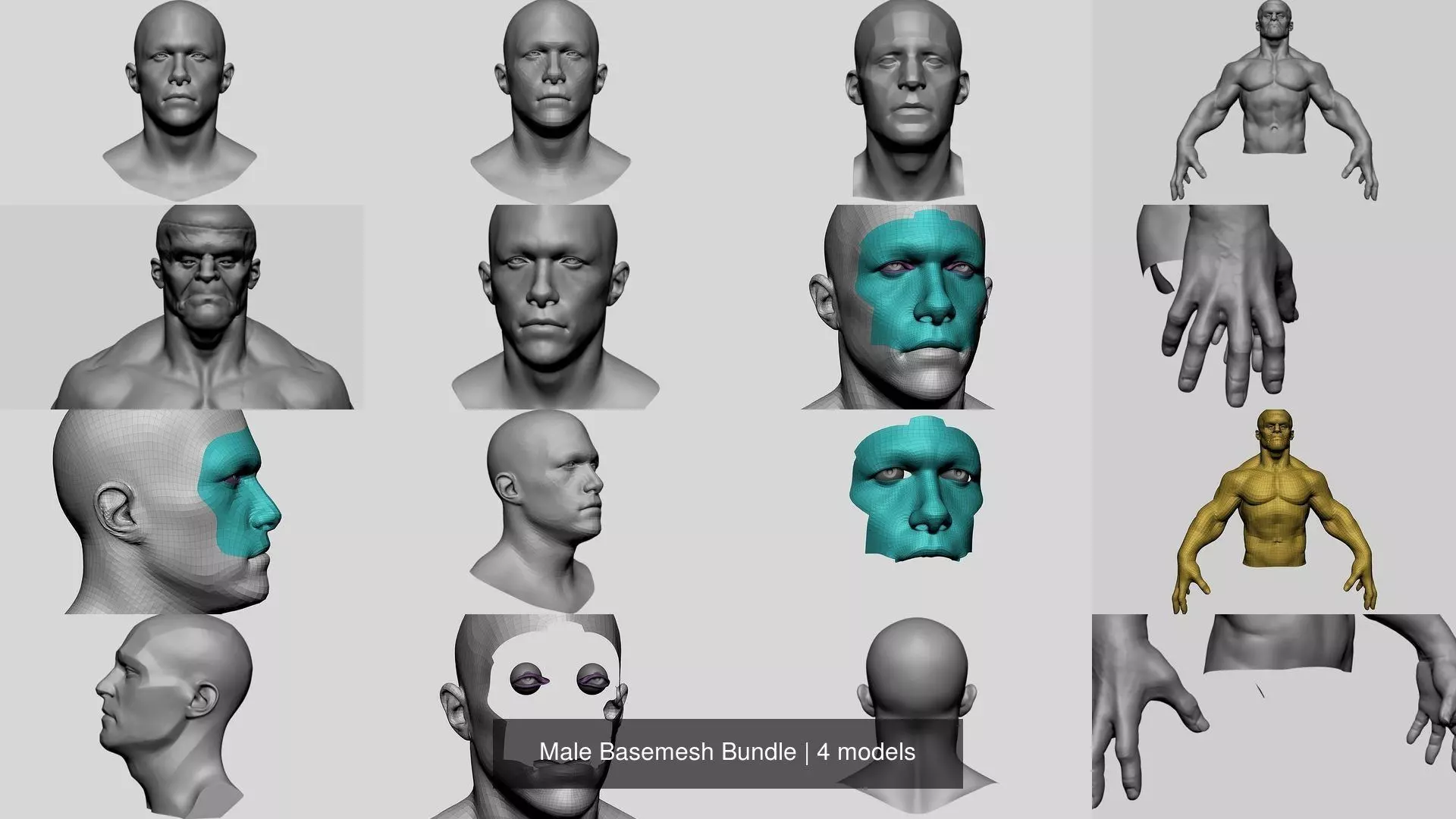 Male Basemesh Bundle 3D Model Collection_0