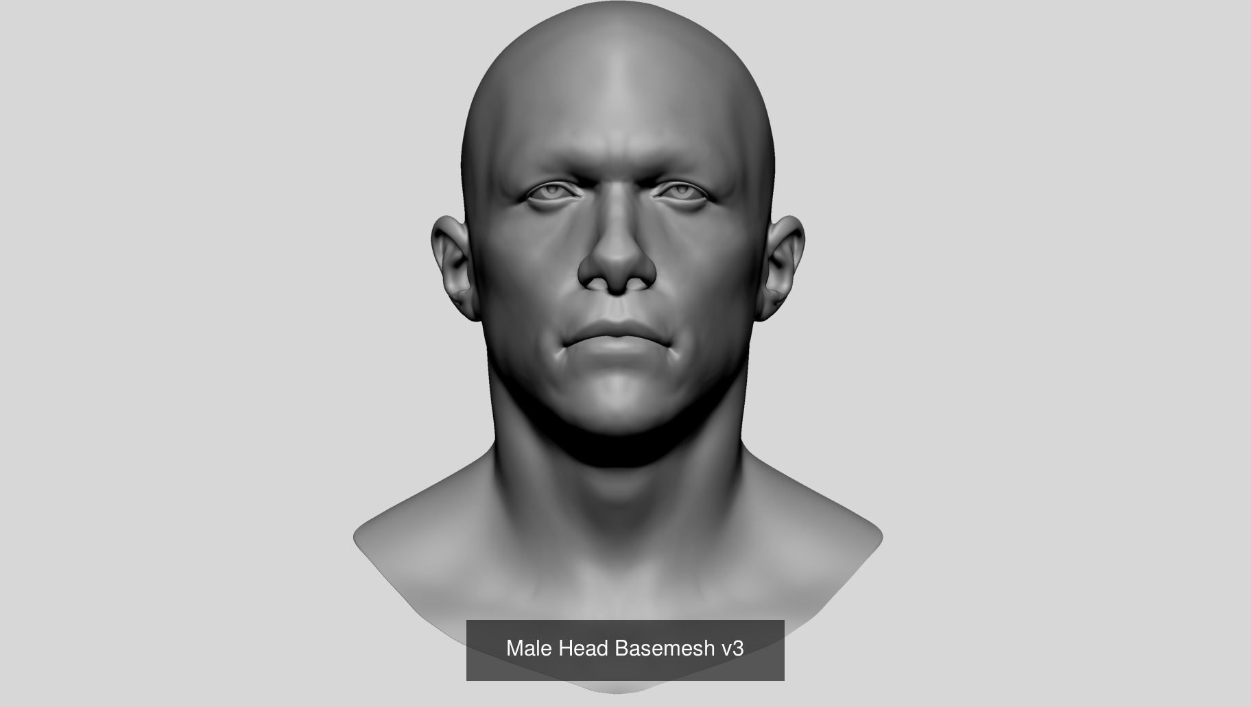 Male Basemesh Bundle 3D Model Collection_1