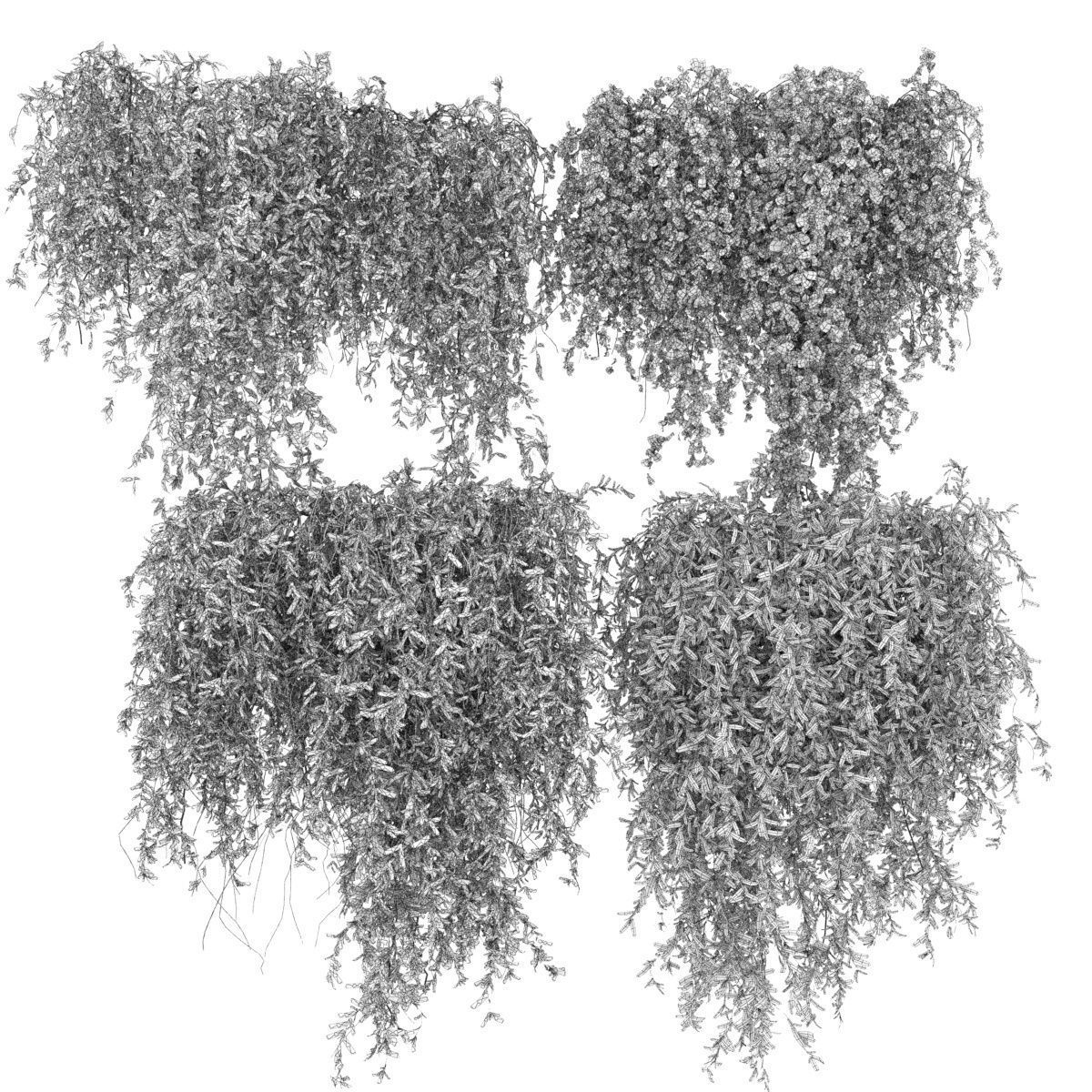 Collection plant vol 245 3D model_5