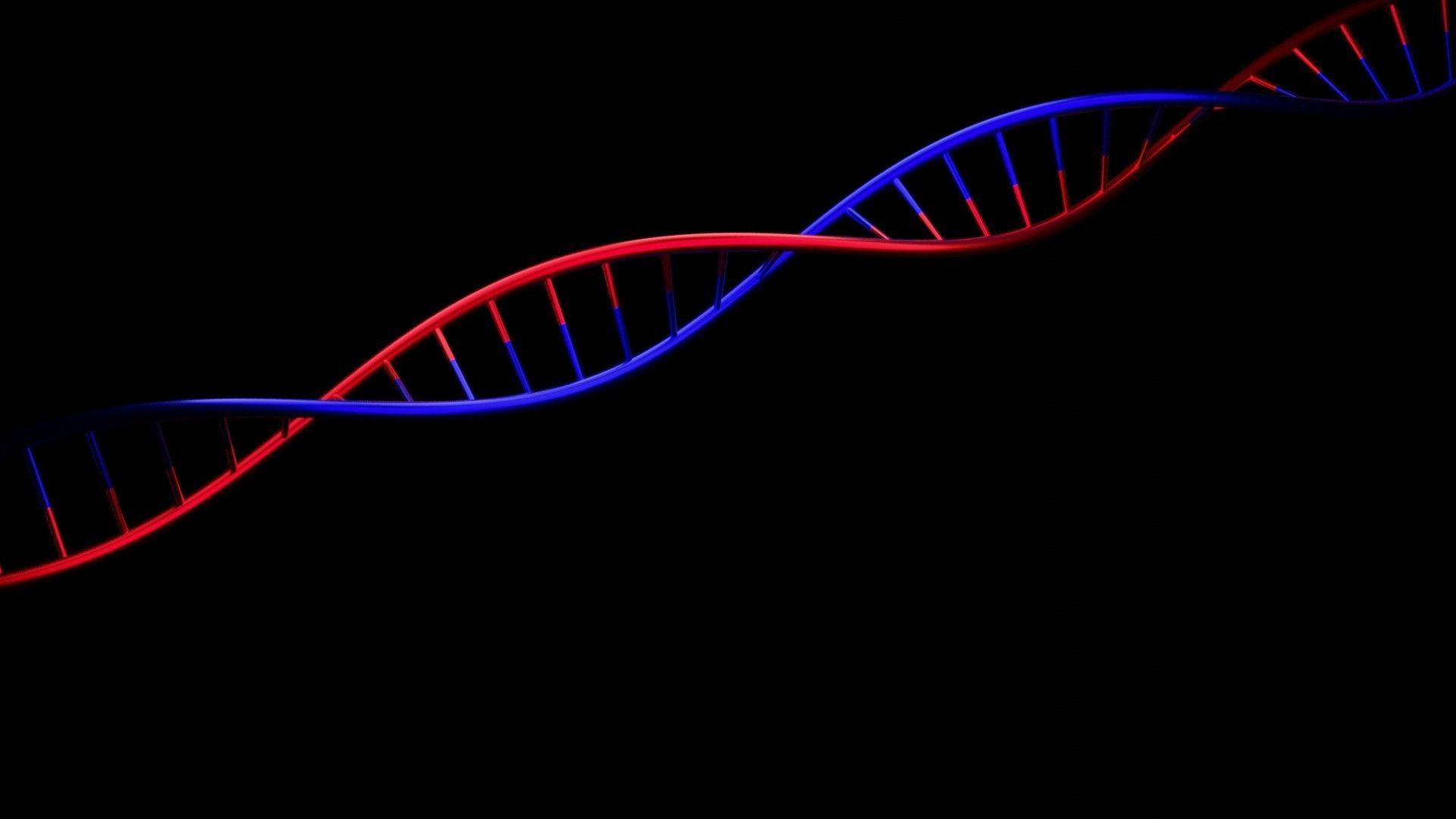 free DNA Free 3D model_3