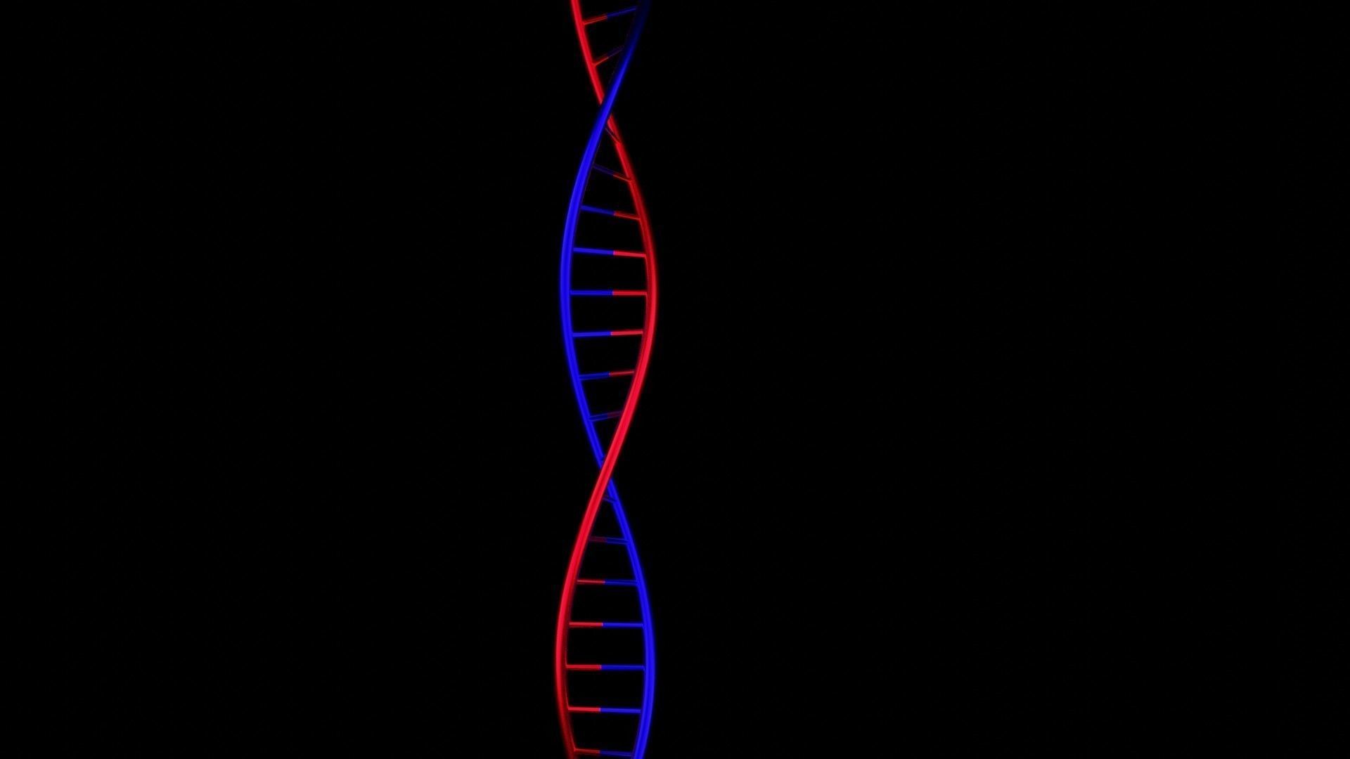 free DNA Free 3D model_2
