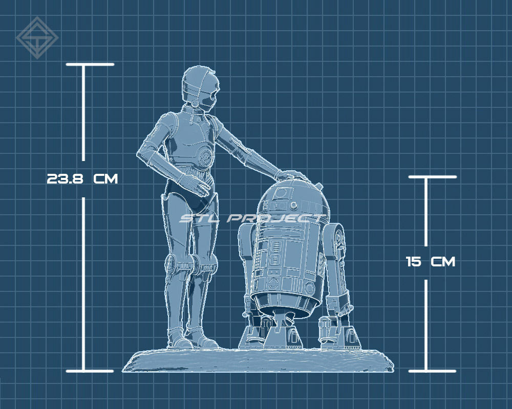 Protocol droid and Astromech droid 3D print model_8