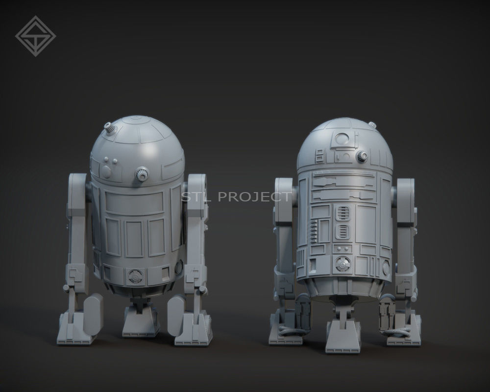 Protocol droid and Astromech droid 3D print model_11