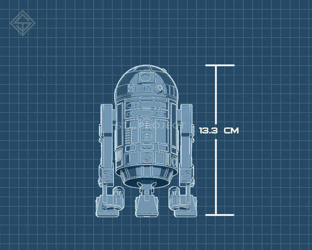 Protocol droid and Astromech droid 3D print model_13