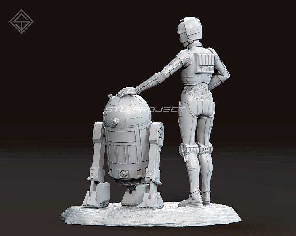 Protocol droid and Astromech droid 3D print model_6