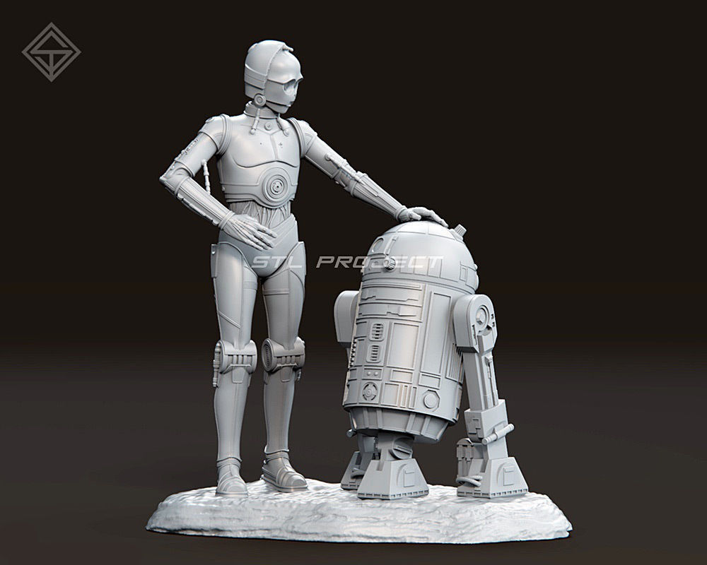 Protocol droid and Astromech droid 3D print model_5