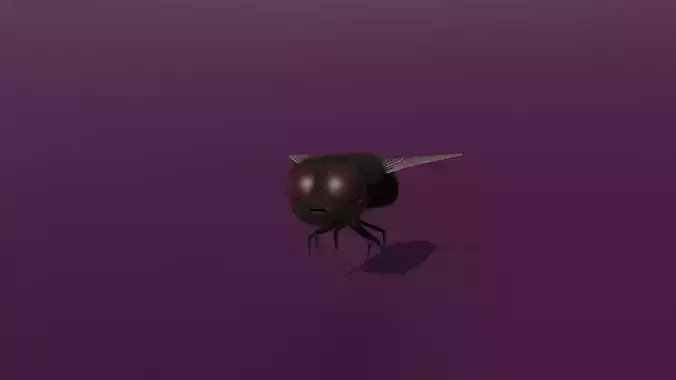A rigged fly
