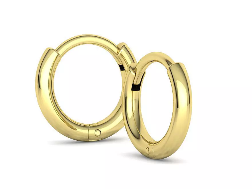 Hoop Earrings Round Womens Hoop Earrings 3dmodel 3D print model