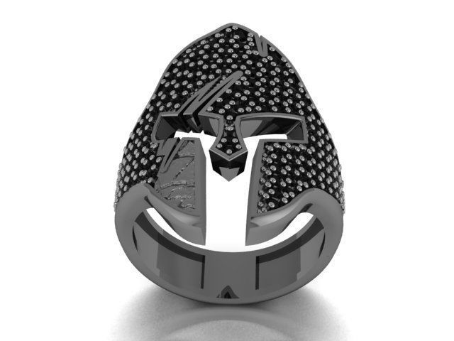 Gladiator ring 3D print model_4